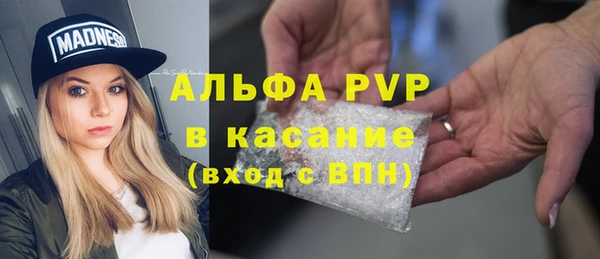 прущие крисы Пестово
