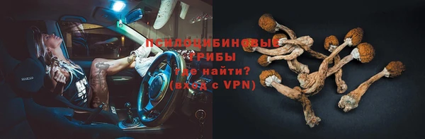 прущие крисы Пестово