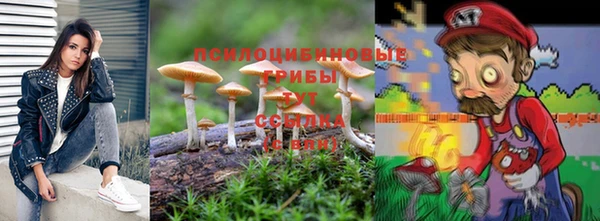 прущие крисы Верхний Тагил
