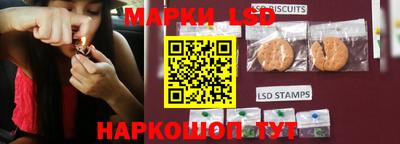 скорость Заволжье