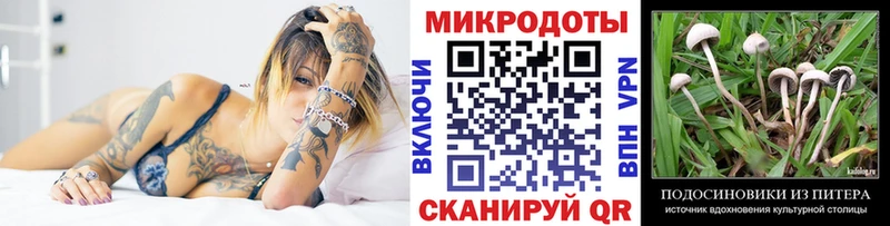 как найти   Киреевск  omg ТОР  Псилоцибиновые грибы Psilocybine cubensis 