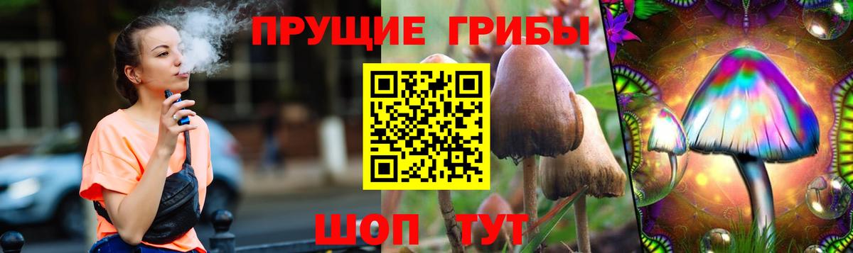 Галлюциногенные грибы GOLDEN TEACHER  Галлюциногенные грибы Magic Shrooms  магазин  наркотиков  Вход с VPN  Киреевск 